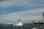 Dcim0969/DSC_6566