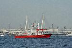 Dcim0970/DSC_0105