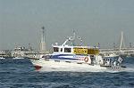 Dcim0971/DSC_0173