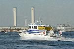 Dcim0971/DSC_0174