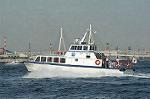 Dcim0971/DSC_0219
