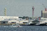 Dcim0971/DSC_0223