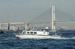 Dcim0971/DSC_0237