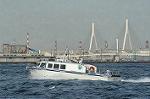 Dcim0971/DSC_0240