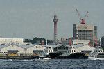 Dcim0971/DSC_0241