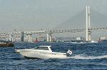Dcim0972/DSC_0259
