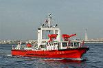 Dcim0972/DSC_0312