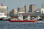 Dcim0972/DSC_0317