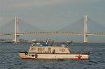 Dcim0972/DSC_0365
