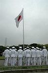 Dcim0982/DSC_7113