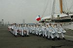 Dcim0982/DSC_7174