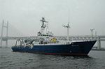 Dcim0988/DSC_1137