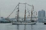 Dcim0990/DSC_1331