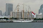 Dcim0991/DSC_1446