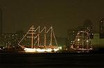 Dcim0993/DSC_1624