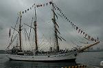 Dcim0994/DSC_7512