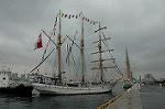 Dcim0994/DSC_7519