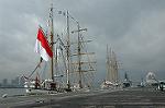Dcim0994/DSC_7581