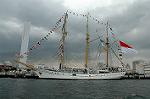 Dcim0997/DSC_7930