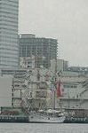 Dcim1002/DSC_8004