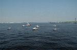 Dcim1004/DSC_2273