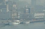 Dcim1011/DSC_2537