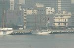 Dcim1012/DSC_8607