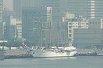 Dcim1012/DSC_8609