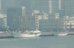 Dcim1012/DSC_8611