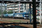Dcim1012/DSC_8653