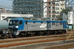 Dcim1012/DSC_8655