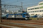 Dcim1012/DSC_8656