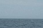 Dcim1025/DSC_3225