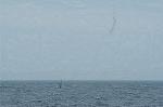 Dcim1025/DSC_3227