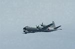 Dcim1025/DSC_3296