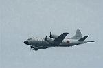 Dcim1025/DSC_3297