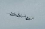 Dcim1026/DSC_3386