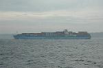 Dcim1031/DSC_9783