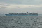 Dcim1031/DSC_9784