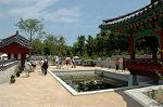 Dcim1039/DSC_0300