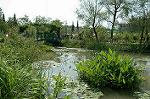 Dcim1039/DSC_0417