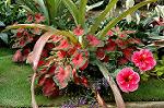 Dcim1040/DSC_0459