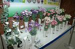 Dcim1040/DSC_0537