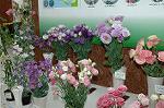 Dcim1040/DSC_0549