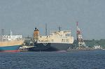 Dcim1047/DSC_4017