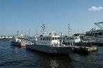 Dcim1051/DSC_4312
