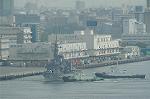 Dcim1059/DSC_4598