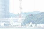 Dcim1069/DSC_2233