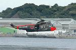 Dcim1071/DSC_2459