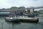 Dcim1072/DSC_5290